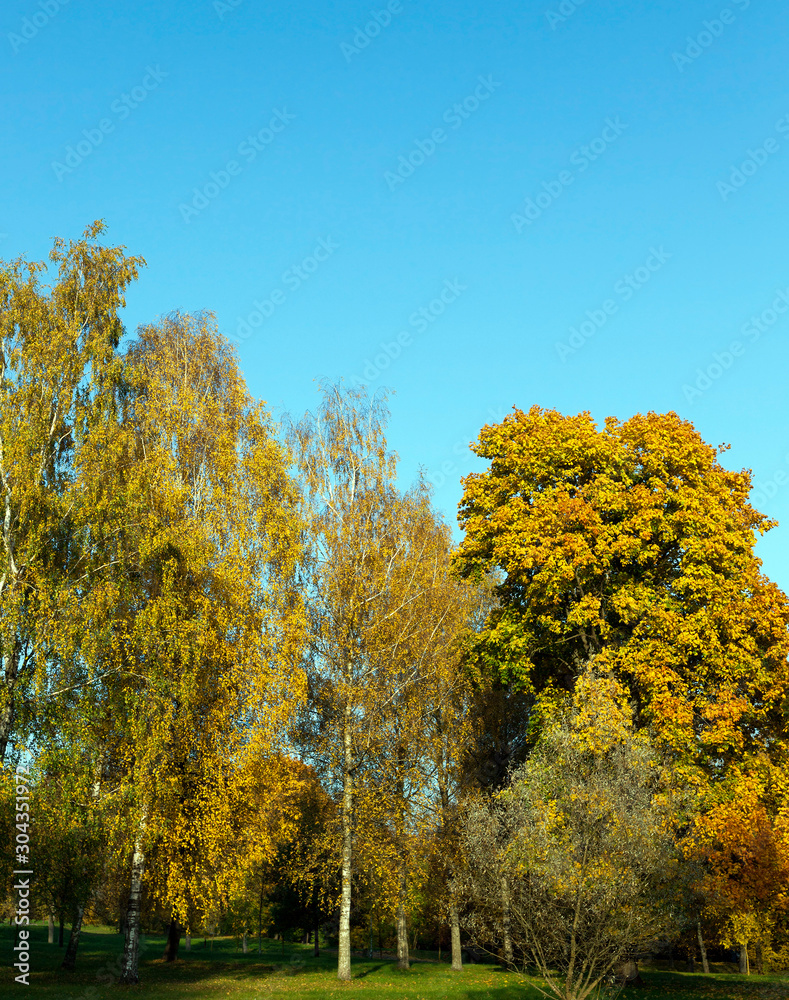 Fototapeta premium Calm autumn nature
