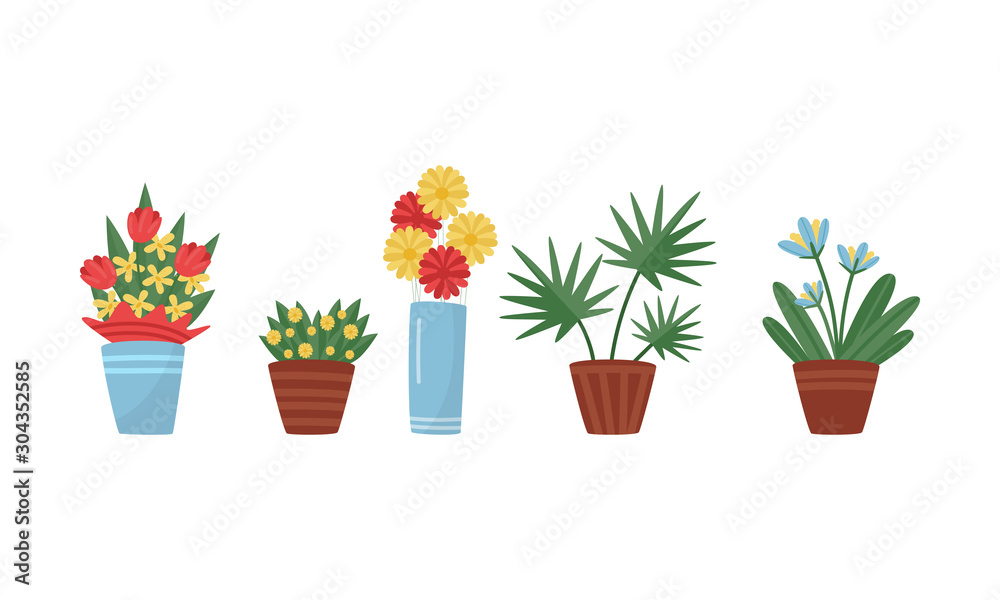 Various Flowers Growing in Pots Vector Set Various Flowers Growing in Pots Vector Set
