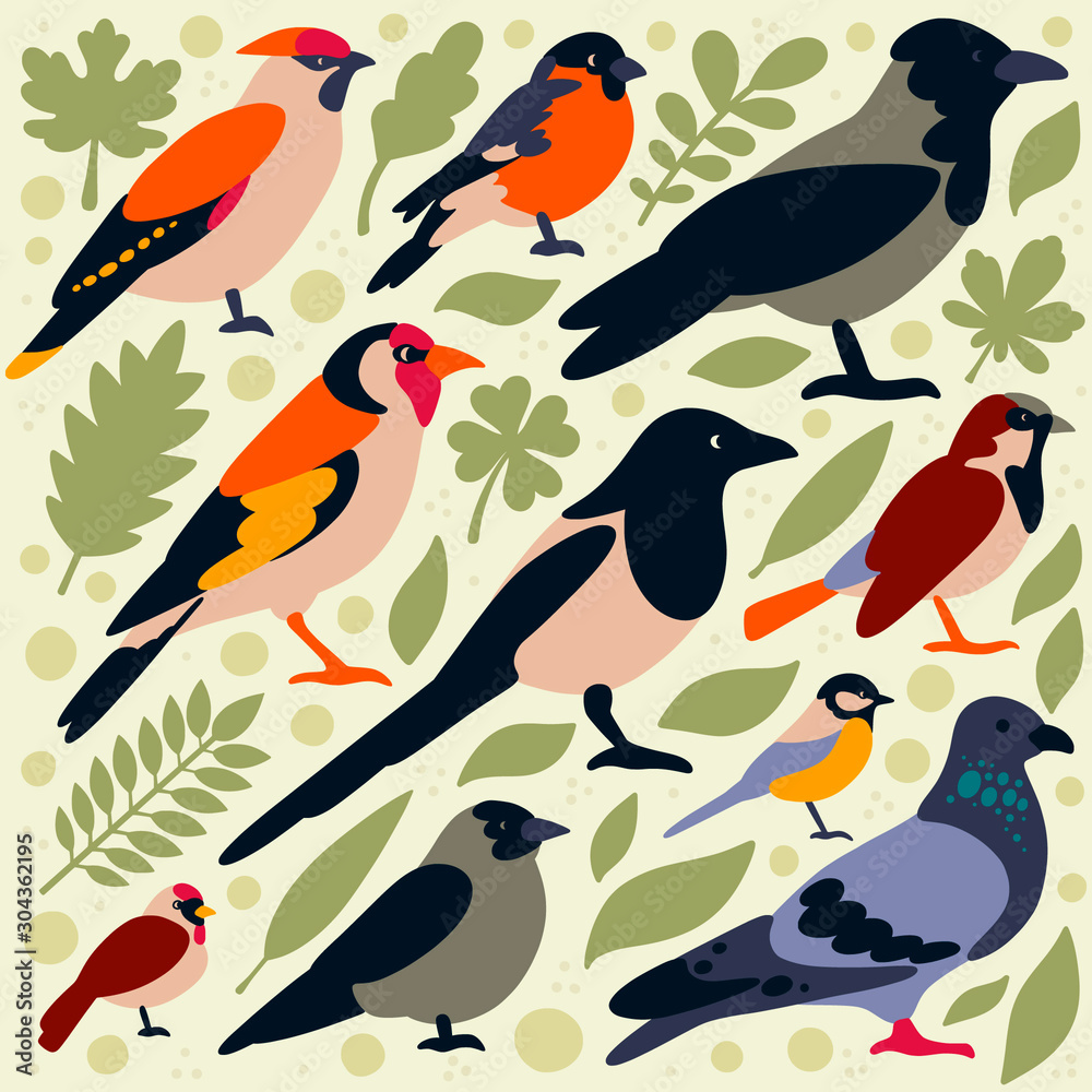 Birds Birds