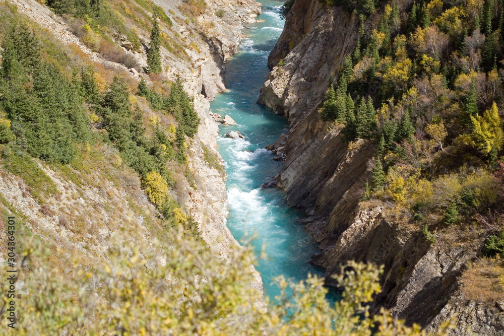 A river with blue water flowing in a deep canyon with high steep banks, with autumn trees on the shore. Small Naryn River, Kyrgyzstan