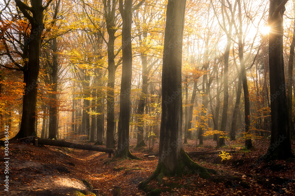 Drongengoed in Aalter in autumn colors.