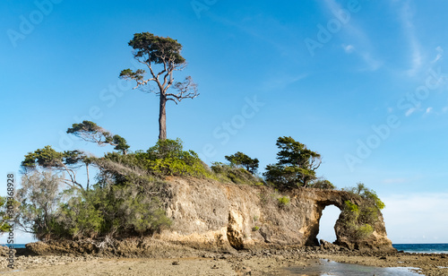 The Very Famous Natural Coral Bridge locally known as Howrah Bridge by locals of Neil Island (Swaraj Dweep). With typical native vegetation, the dead corals and marine life are visible during low tide photo