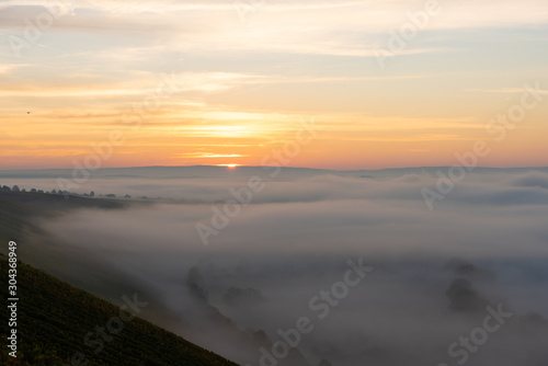 Sonnenaufgang in den Weinbergen   ber dem herbstlichen Main im Nebel