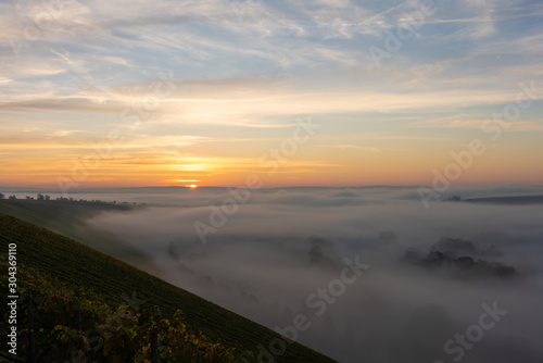 Sonnenaufgang in den Weinbergen über dem herbstlichen Main im Nebel