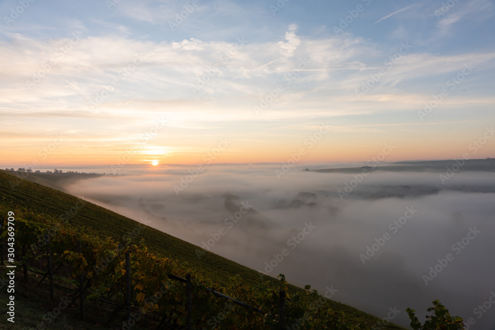 Sonnenaufgang in den Weinbergen über dem herbstlichen Main im Nebel