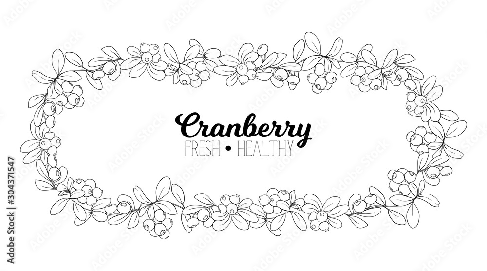 Cranberry. Element for design. Good for product label. Outline hand drawing vector illustration..