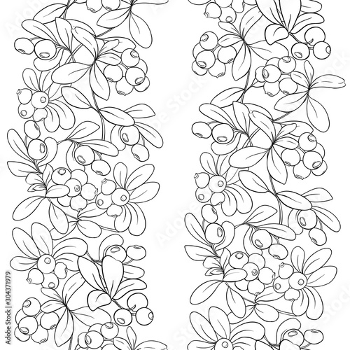 Cranberry. Seamless pattern, background. Outline hand drawing vector illustration