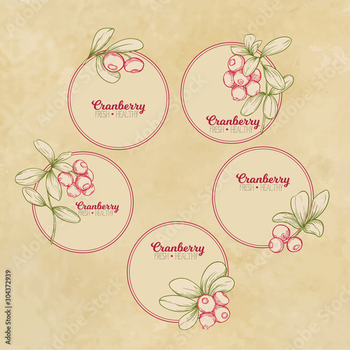 Cranberry. Element for design. Good for product label. Colored vector illustration. On kraft paper background.