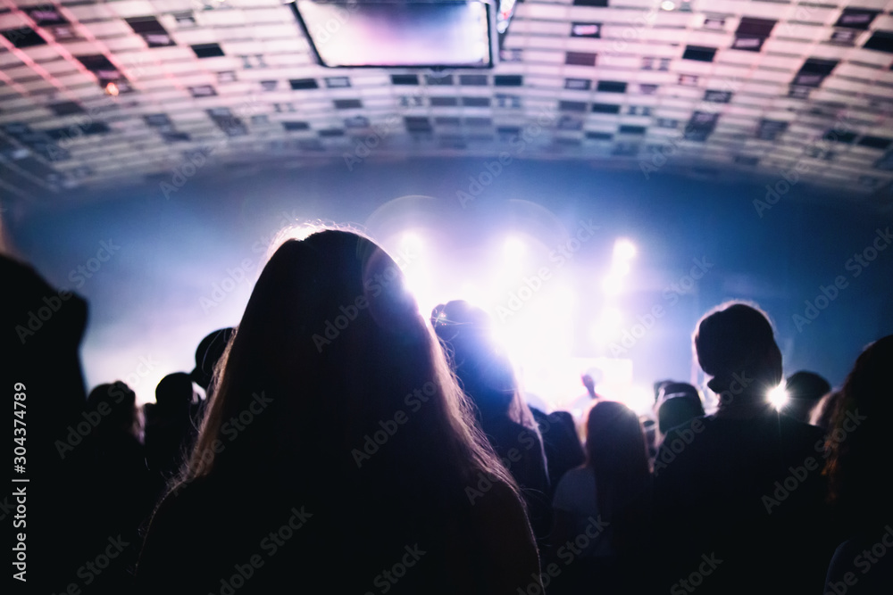 Silhouette of the crowd at a rock concert.