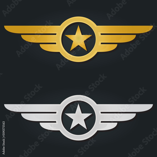 Star with wings logo. Military and Army winged badges. Golden and Silver Aviation emblems. Vector illustration.