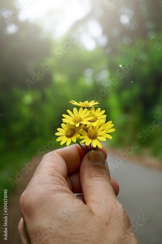 man hand with a beautiful flower, feeling the nature