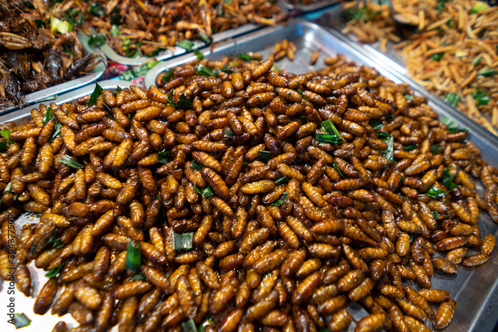 Fried insects street food in bangkok thailand Fried insects street food in bangkok thailand