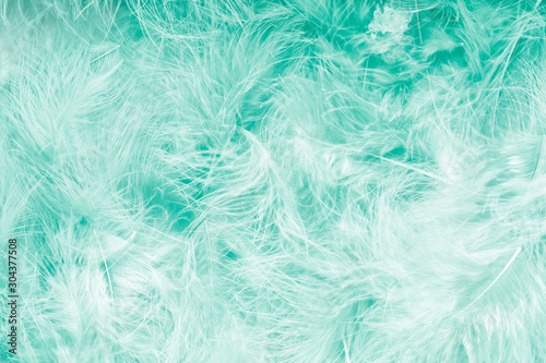 Beautiful pastel turquoise trends feather texture background. Soft and gentle pattern. Bohemian boho style. © Nataliia