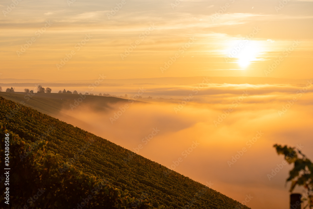 Sonnenaufgang über den Weinbergen am nebelverhangenen Main