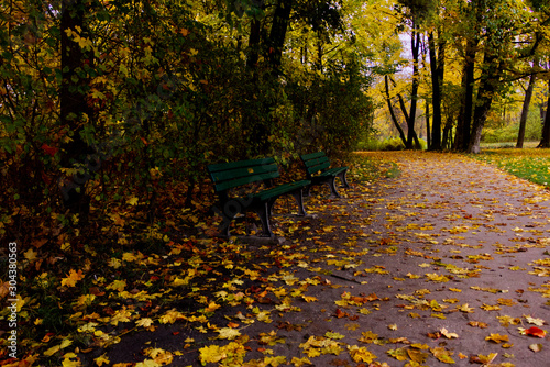 A walking path and two benches in the Englisher Garten park in Munich, Germany on a fall / autumn day
