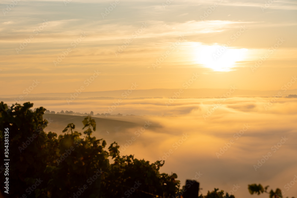 Fototapeta premium Sonnenaufgang über den Weinbergen am nebelverhangenen Main