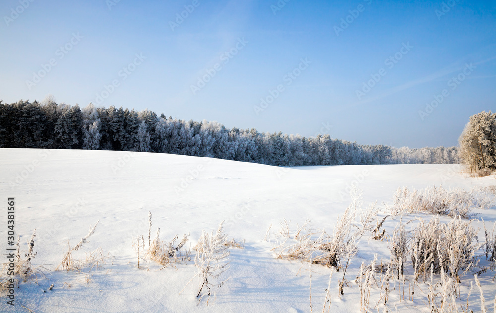winter landscape with snow winter landscape with snow