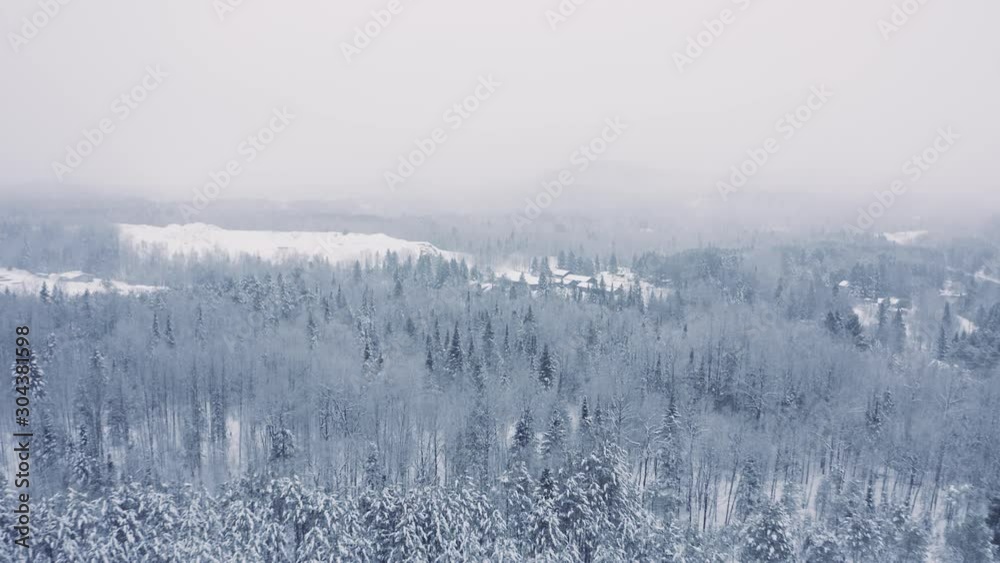Foggy Winter Landscape - Drone Flying  4K - Mountains - Trees, rivers, snowy - Cinematic trees