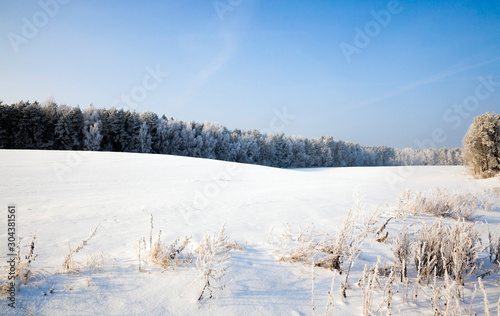 winter landscape with snow