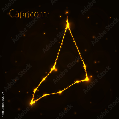 Capricorn Illustration Icon, Lights Silhouette on Dark Background. Glowing Lines and Points