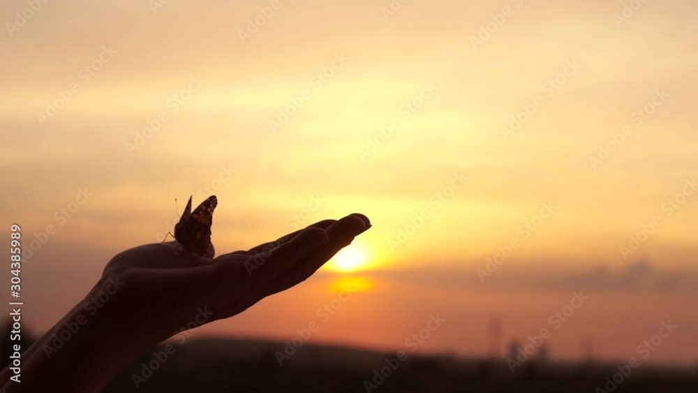 A butterfly sits on the palm of a man against a beautiful sunset sky