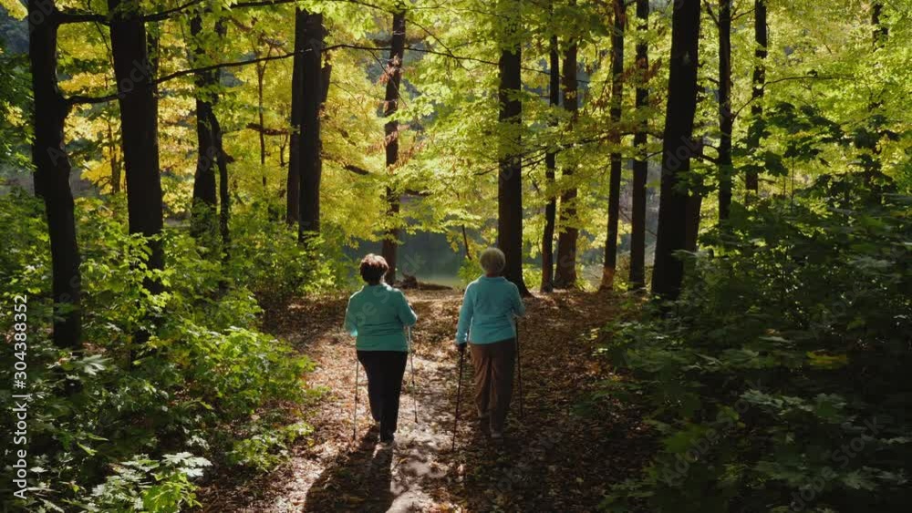 Nordic walking for elderly women in the forest, two senior ladies has training in autumn forest. Rear view, slow-motion 4k video