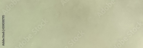 ash gray  pastel gray and dark sea green colored vintage abstract painted background with space for text or image. can be used as header or banner