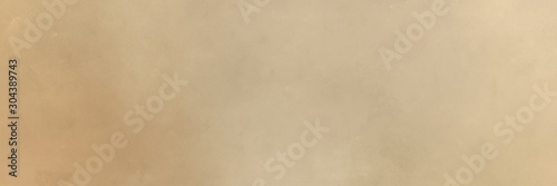 painting background texture with tan, pale golden rod and wheat colors and space for text or image. can be used as header or banner