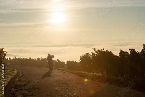 Spaziergänger im nebligen Weinberg macht Fotos vom Sonnenaufgang