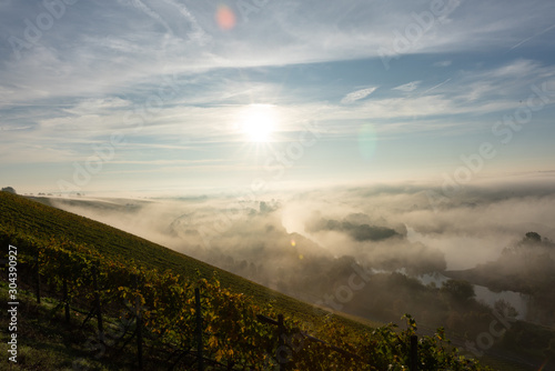 Blick auf den Main im Frühnebel