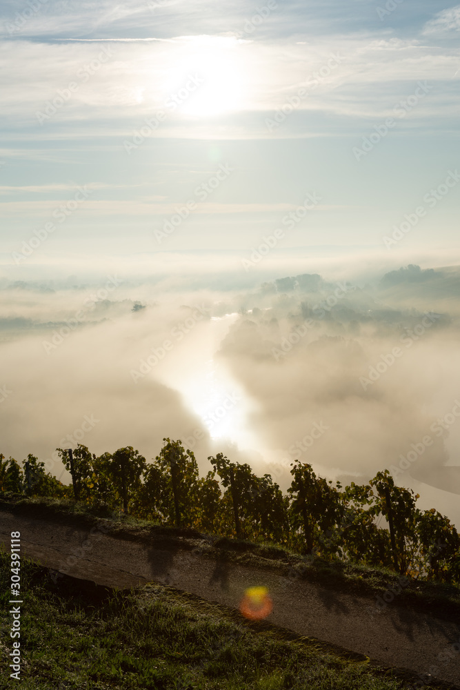 Blick auf den Main im Frühnebel