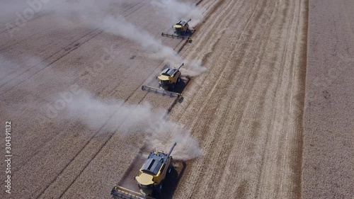 Many harvester goes one after another for collecting a rich harvest of wheat in the field from high vertical angle drone shot 4K