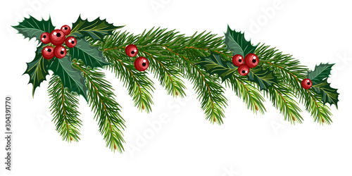 Christmas tree branch © milavas