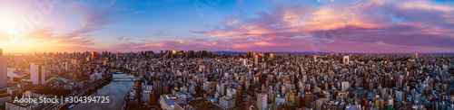  Panorama of central of Tokyo at dawn, Japan © fenlio