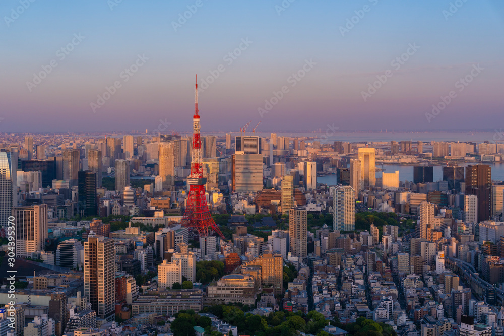 Beautiful Tokyo tower light up at night in japan