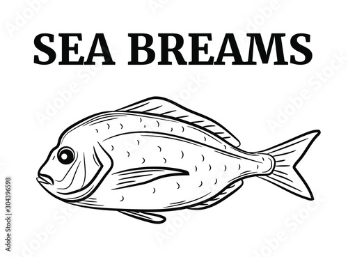 Set of the sea breams, vector illustration sketch style