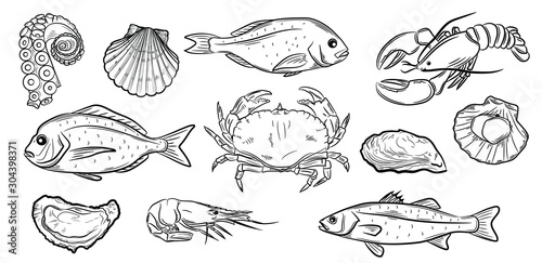 Set of the different seafood elements, vector illustration sketch style