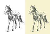 Hand drawn sketch of a horse