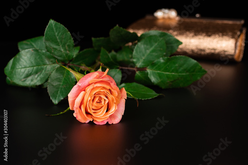 A photograph of a rose in a low key.