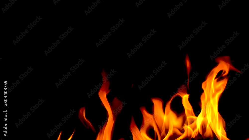 Fire flames on black background. Fire flames on black background.