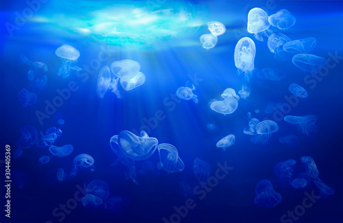 A group of jellyfish floating in coastal waters. Underwater sea world with marine animals. Life in the coral reef. Blue background. © silvae