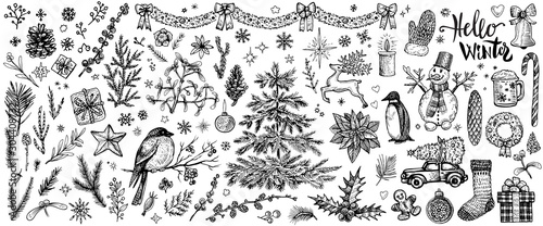 Winter hand drawn sketches. Vector vintage Christmas plants and symbols.