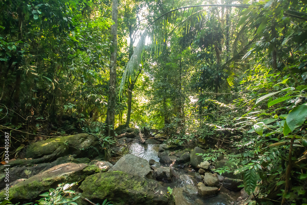 Obraz premium Kathu Waterfall, Phuket, Thailand. A forest path in a beautiful, abundant waterfall.