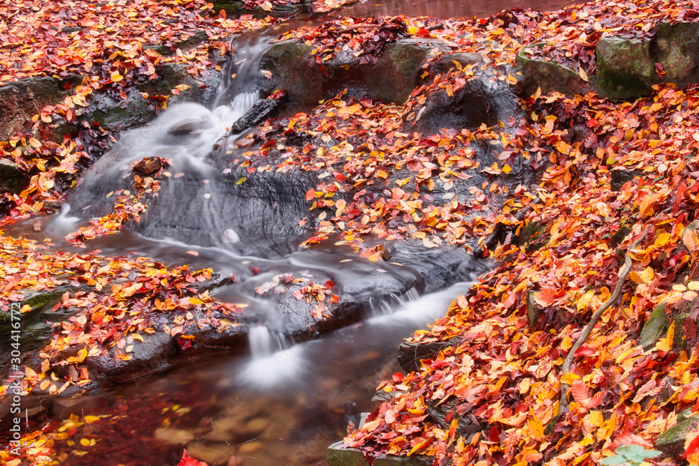 Long exposure photo of the tiny creek and waterfall in the forest of Óbánya, Hungary in autumn Long exposure photo of the tiny creek and waterfall in the forest of Óbánya, Hungary in autumn
