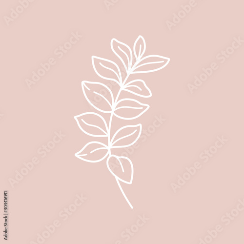 Branch with leaves of the plant. Outline Botanical leaves In a Modern Minimalist Style. Vector Illustration. For printing on t-shirt, Web Design, beauty Salons, Posters, creating a logo and other