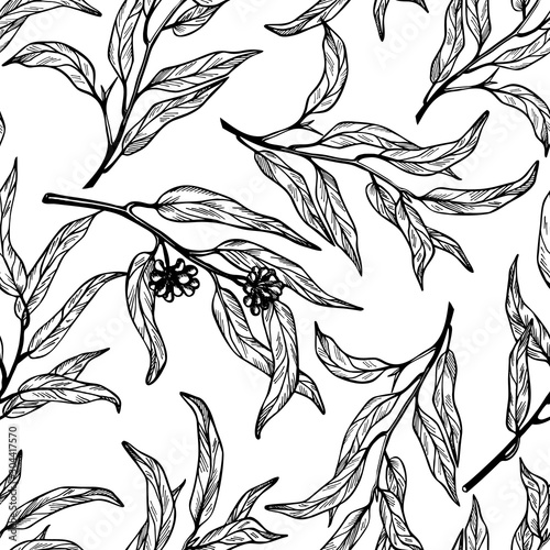 Seamless pattern of eucalyptus branches on white background. Hand drawn vector illustration with contour lines.