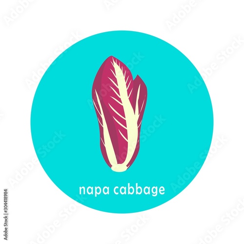 Vector purple napa cabbage or chinese cabbage icon isolated on white background.  Flat blue circle icon with vegetable. Healthy food. 