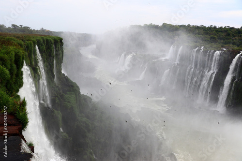Iguazu Falls - Iguaz   National Park  Paran    Brazil  Argentina