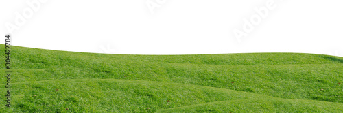 Green grass field isolated on white background with clipping path.