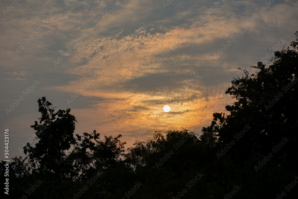 Fototapeta premium Silhouette of trees during sunset at tikamgarh, Madhya Pradesh, India.